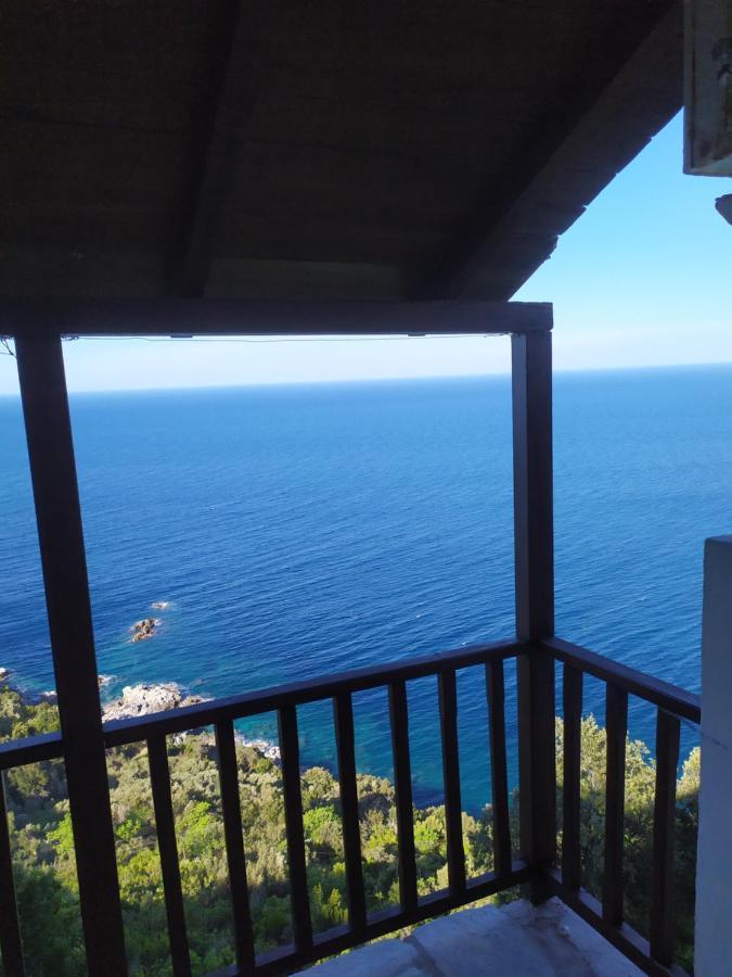 Triple Studio Room With The Most Beatifull View In Mylopotamos Tsagkarada Eksteriør billede